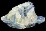 Vibrant Blue Kyanite Crystal - Brazil #80394-1